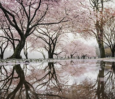 $100 off any order over $1000