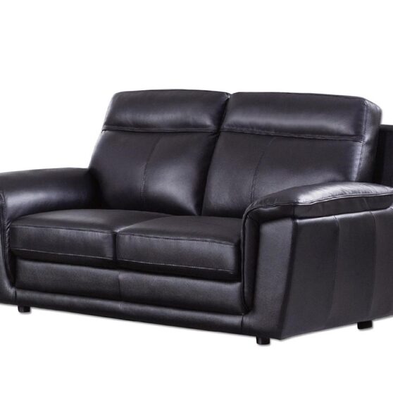 Contemporary casual style loveseat in black leather