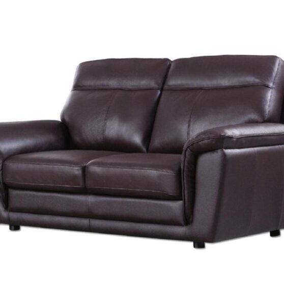 Contemporary casual style loveseat in brown leather