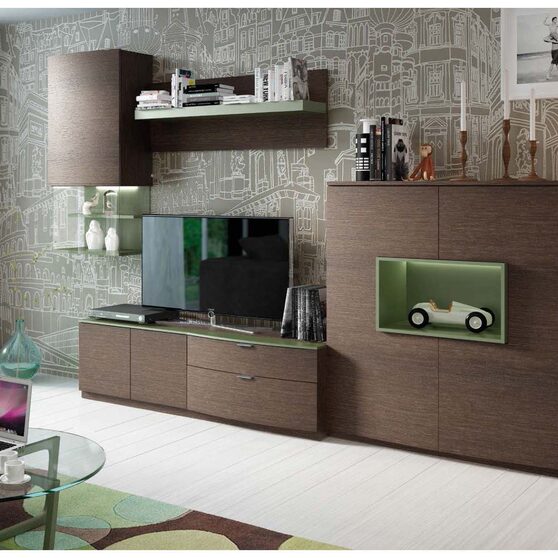 Contemporary brown finish wall unit