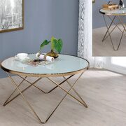 Champagne finish & frosted glass coffee table main photo
