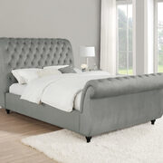 Queen bed upholstered in luxurious frosted gray velvet