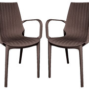 Brown finish plastic outdoor arm dining chair/ set of 2 main photo