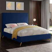 Navy velvet casual style bed w/ gold & silver legs main photo