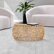 Contemporary oriental motif coffee table main photo