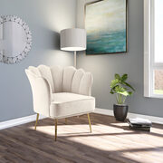 Modern accent chair in cream velvet w/ gold legs main photo