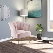 Modern accent chair in pink velvet w/ gold legs main photo