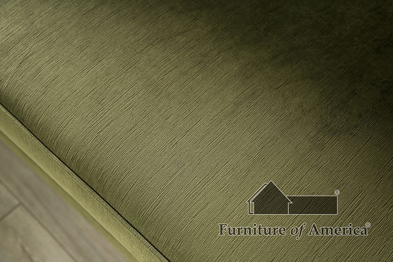Line-textured american-made green sofa by Furniture of America additional picture 11