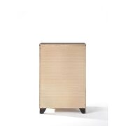 Espresso chest by Acme additional picture 4