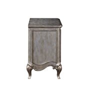 Antique champagne nightstand (2 drw) by Acme additional picture 2