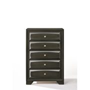 Antique gray chest by Acme additional picture 3