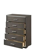 Gray oak chest in casual style by Acme additional picture 2
