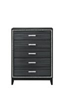 Weathered black finish shimmering silver trim accent chest by Acme additional picture 3