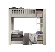 Weathered white finish twin/twin bunk bed by Acme additional picture 2