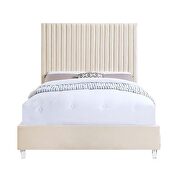 Beige velvet channel-tufted headboard queen bed by Acme additional picture 3
