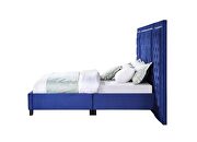 Blue velvet fully upholstery and crystal-like button tufting queen bed by Acme additional picture 4