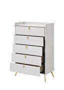 Black & white finish contemporary chest by Acme additional picture 4
