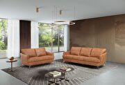 Cappuccino finish leather and sturdy, wooden inner frame sofa by Acme additional picture 6