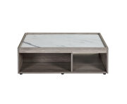 Faux marble top & gray oak finish coffee table by Acme additional picture 2