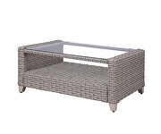 Gray fabric upholstery & gray finish wicker frame 4pc sofa set by Acme additional picture 8