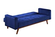 Blue velvet & natural finish cozy and breezy style sofa bed by Acme additional picture 4