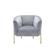 Gray velvet & gold accent legs chair by Acme additional picture 3