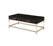 Table top in a rich black and metal frame in gold finish coffee table by Acme additional picture 3