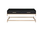 Table top in a rich black and metal frame in gold finish coffee table by Acme additional picture 6