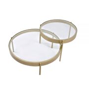 Clear glass & gold finish 2pieces pack nesting tables by Acme additional picture 4