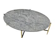 Faux marble top and champagne finish base coffee table by Acme additional picture 4