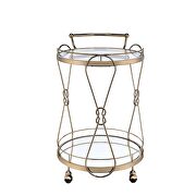 Champagne serving cart by Acme additional picture 3