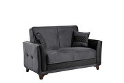 Gray velvet casual style sleeper sofa by Casamode additional picture 12