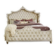 Ivory & camel velvet upholstery queen bed by Coaster additional picture 3
