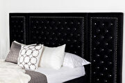Upholstered tufted platform queen bed black w/ optional back panels by Coaster additional picture 9