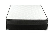 Euro top 8.5 twin mattress by Coaster additional picture 2