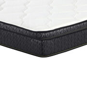 Euro top 8.5 twin mattress by Coaster additional picture 3