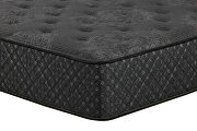 12 twin firm mattress by Coaster additional picture 2