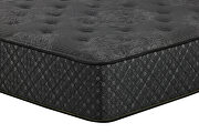 12 twin xl firm mattress by Coaster additional picture 2