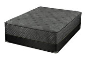 12 twin xl firm mattress by Coaster additional picture 3