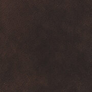Cognac finish genuine top grain leather power sofa by Coaster additional picture 2