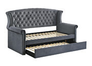 Gray finish soft velvet upholstery twin daybed w/ trundle by Coaster additional picture 3