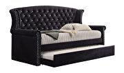 Black finish soft velvet upholstery twin daybed w/ trundle by Coaster additional picture 2