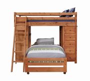 Wrangle hill twin-over-full loft bed with desk by Coaster additional picture 5