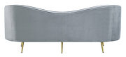 Gray velvet upholstery iconic kidney silhouette sofa by Coaster additional picture 12