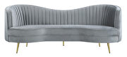 Gray velvet upholstery iconic kidney silhouette sofa by Coaster additional picture 10