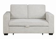 Sleeper sofa bed in beige chenille fabric by Coaster additional picture 6