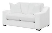 White polyester fabric casual style loveseat by Coaster additional picture 5