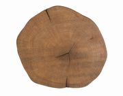 Tree trunk slab design accent table by Coaster additional picture 2