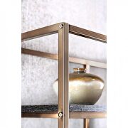 Champagne contemporary display shelf by Furniture of America additional picture 2