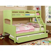 Solid wood bunk bed in green finish by Furniture of America additional picture 3